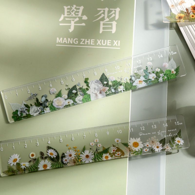 Transparent Acrylic Ruler Creative Cartoon Straightedge